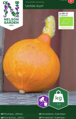 Fröer Jättepumpa Uchiki Kuri Organic>Nelson Garden Clearance