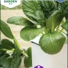 Fröer Kål Komatsuna Malachai F1 Hydroponisk>Nelson Garden Discount