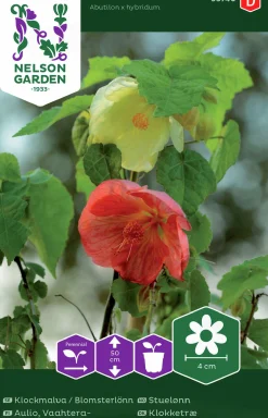 Fröer Klockmalva>Nelson Garden Clearance