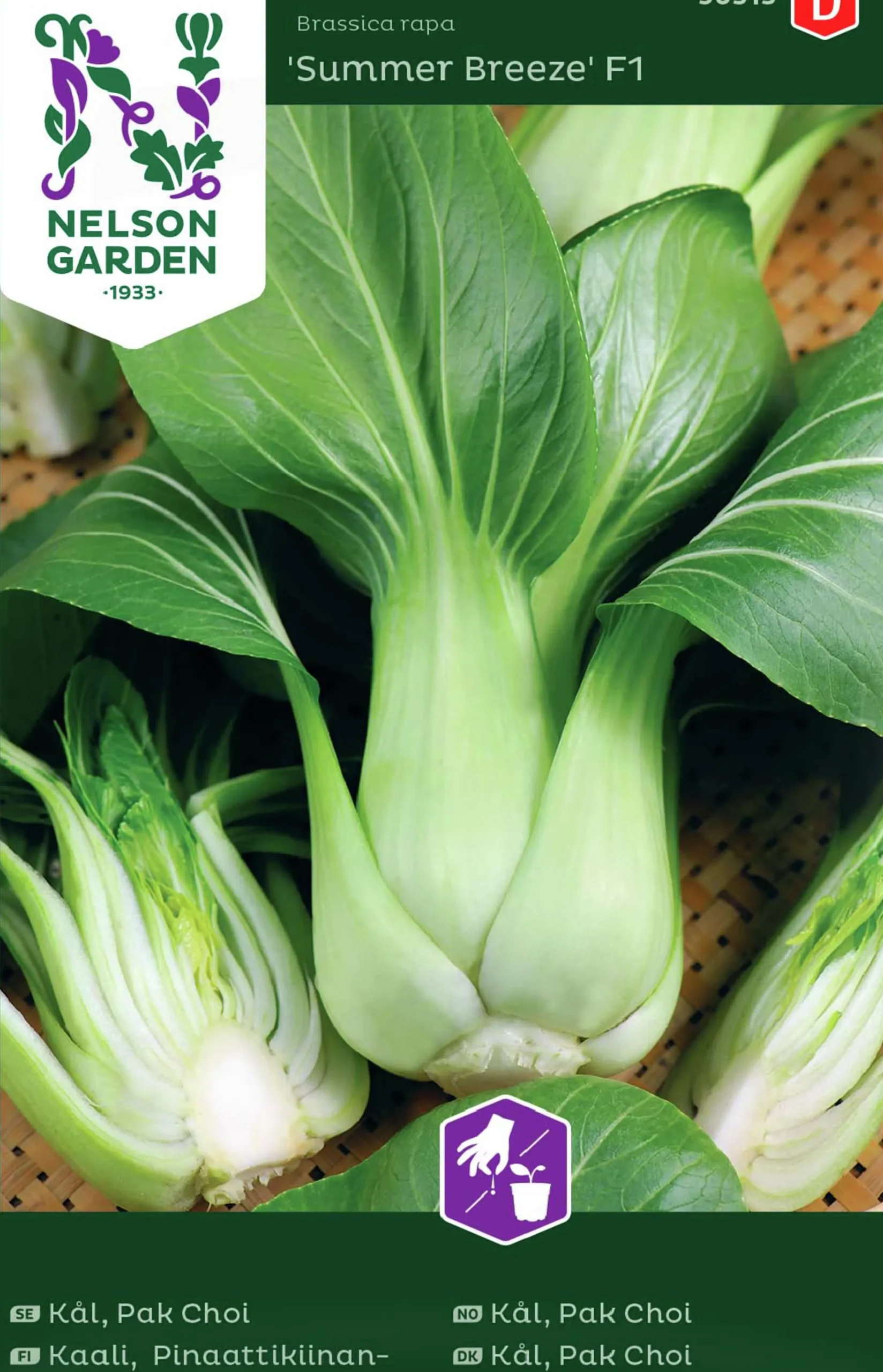 Fröer Kål Pak Choi Summer Breeze F1>Nelson Garden Online