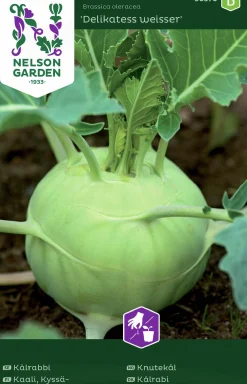Fröer Kålrabbi Delikatess Weisser>Nelson Garden Outlet