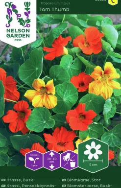 Fröer Krasse Busk- Tom Thumb Blandade Färger>Nelson Garden Hot