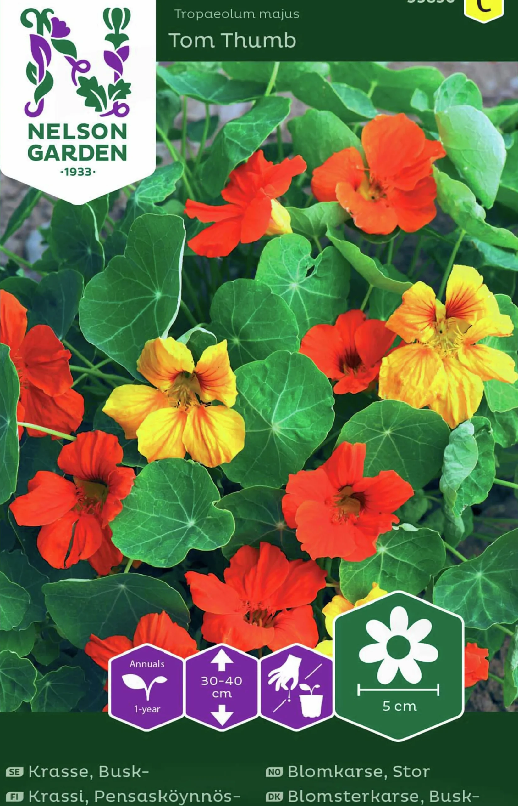 Fröer Krasse Busk- Tom Thumb Blandade Färger>Nelson Garden Hot