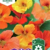 Fröer Krasse Slinger- Blandade Färger>Nelson Garden Sale