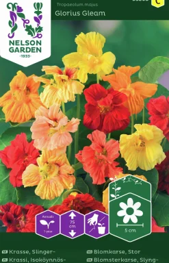 Fröer Krasse Slinger Glorius Gleam Mixfärg>Nelson Garden Clearance