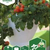 Fröer Körsbärstomat Cherry Falls>Nelson Garden Discount