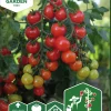 Fröer Körsbärstomat Rubylicious F1 Hög>Nelson Garden Clearance