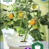 Fröer Kruktomat Twiggy Orange F1 Hydroponisk>Nelson Garden Online