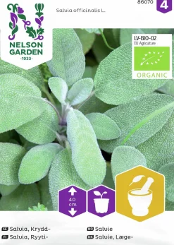 Fröer Kryddsalvia>Nelson Garden