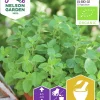 Fröer Kungsmynta Oregano>Nelson Garden