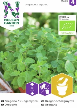 Fröer Kungsmynta Oregano>Nelson Garden