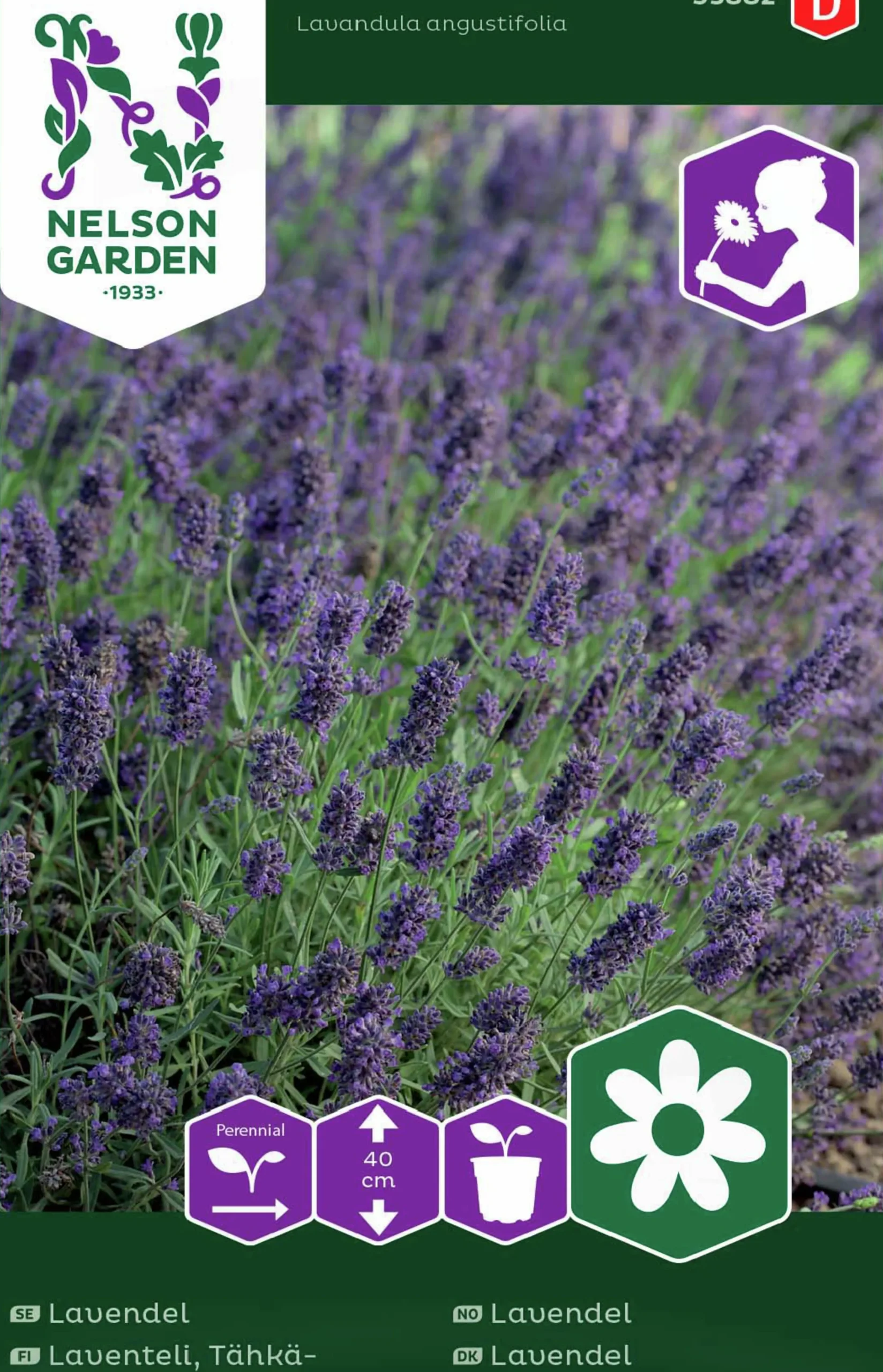 Fröer Lavendel>Nelson Garden Sale