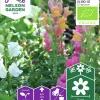 Fröer Lejongap Hög Organic Blandade färger>Nelson Garden Best