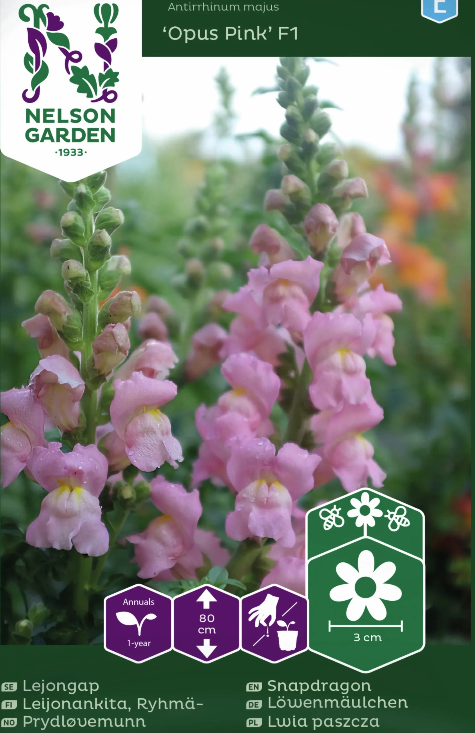 Fröer Lejongap Opus Pink F1>Nelson Garden
