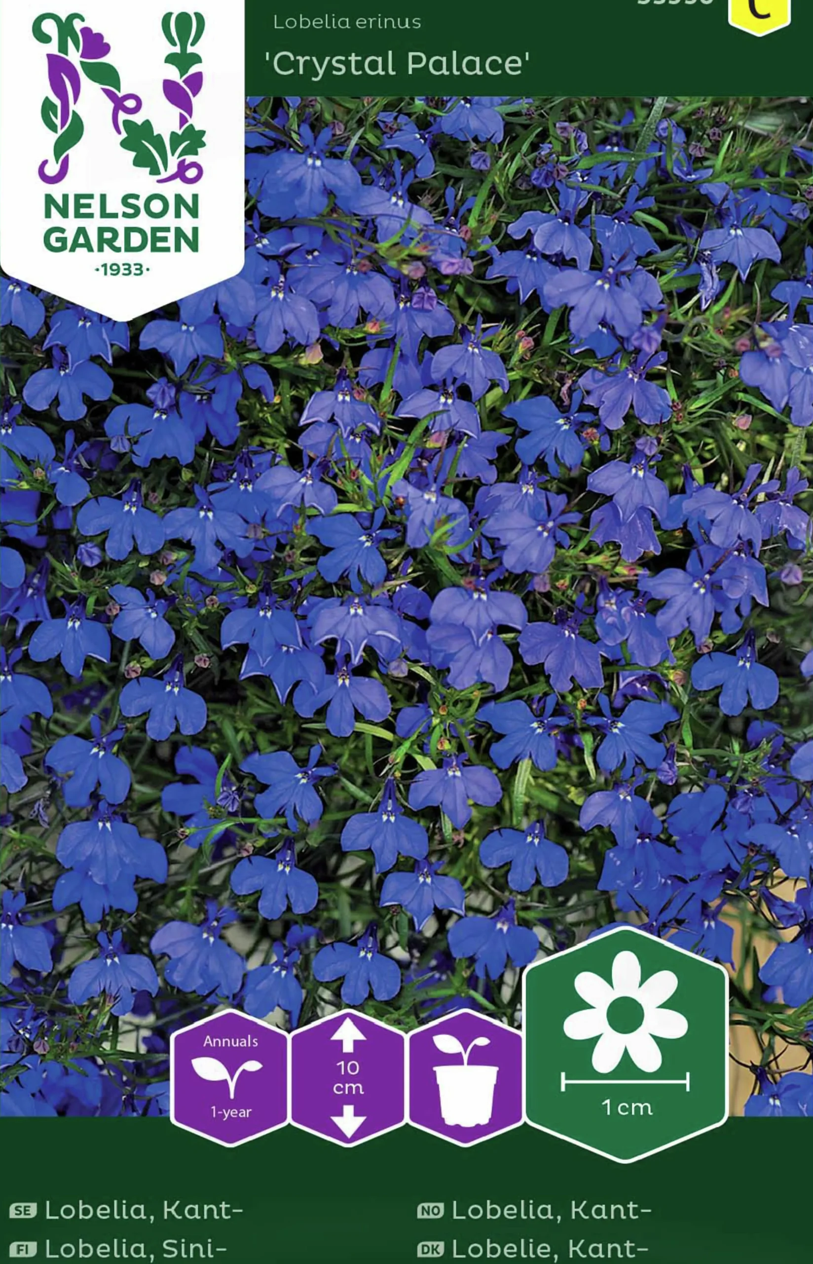 Fröer Lobelia Kant- Crystal Palace>Nelson Garden Sale