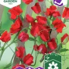 Fröer Luktärt Royal Scarlet Röd>Nelson Garden Hot