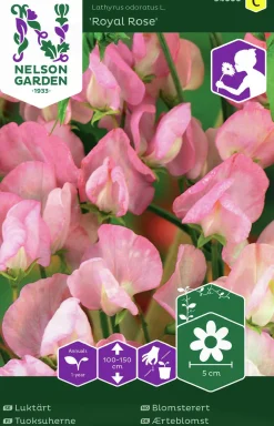 Fröer Luktärt Royal Rose Rosa>Nelson Garden Outlet