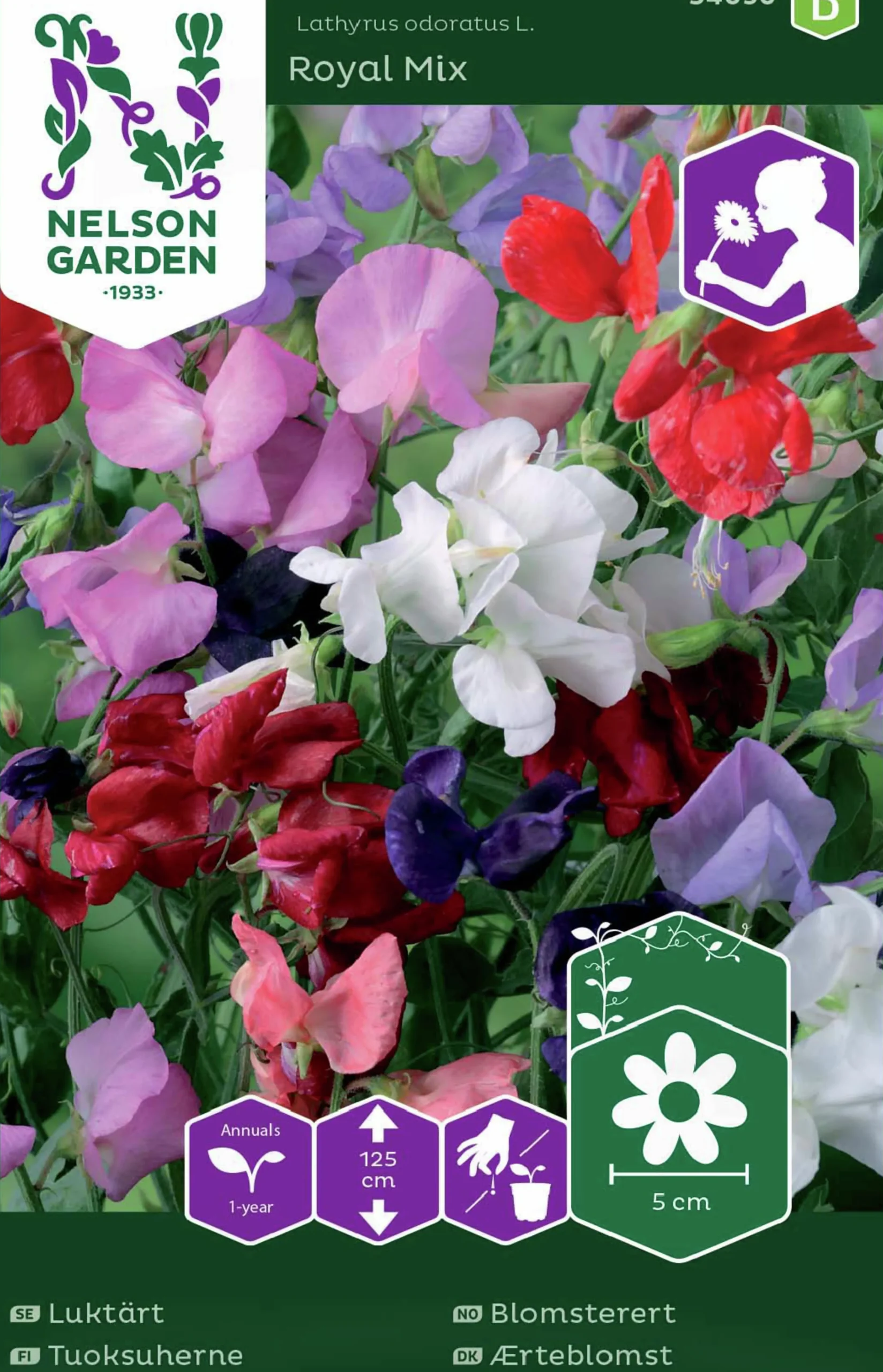 Fröer Luktärt Royal Blandade färger>Nelson Garden Online