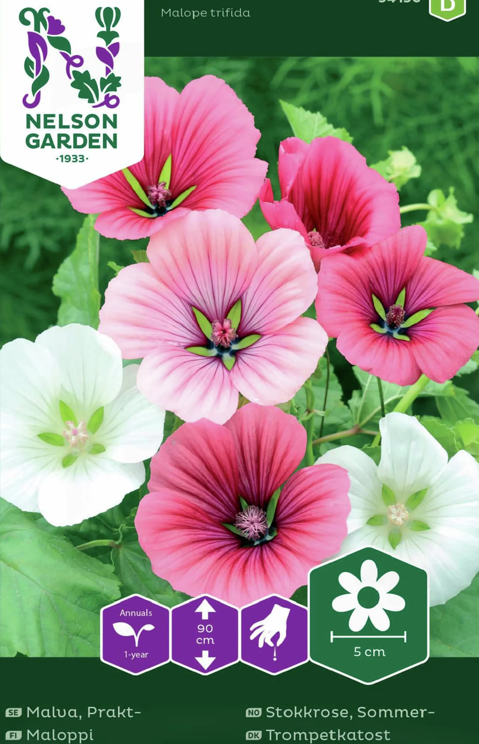 Fröer Malva Prakt- Blandade Färger>Nelson Garden Sale