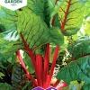 Fröer Mangold Rubarb Chard>Nelson Garden Clearance