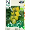 Fröer Miniplommontomat Krebs Lemon Drops Hög>Nelson Garden Sale