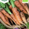 Fröer Morot Sommar Berlicum 2 Organic>Nelson Garden Discount