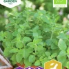 Fröer Oregano Kungsmynta Organic>Nelson Garden Discount