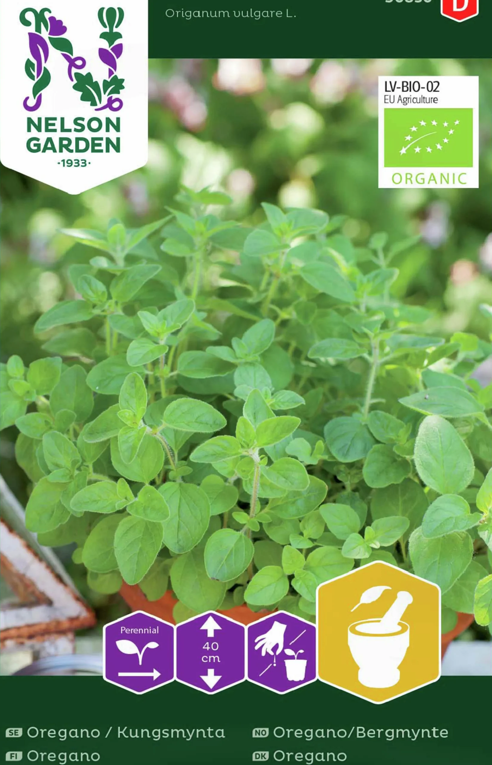 Fröer Oregano Kungsmynta Organic>Nelson Garden Discount