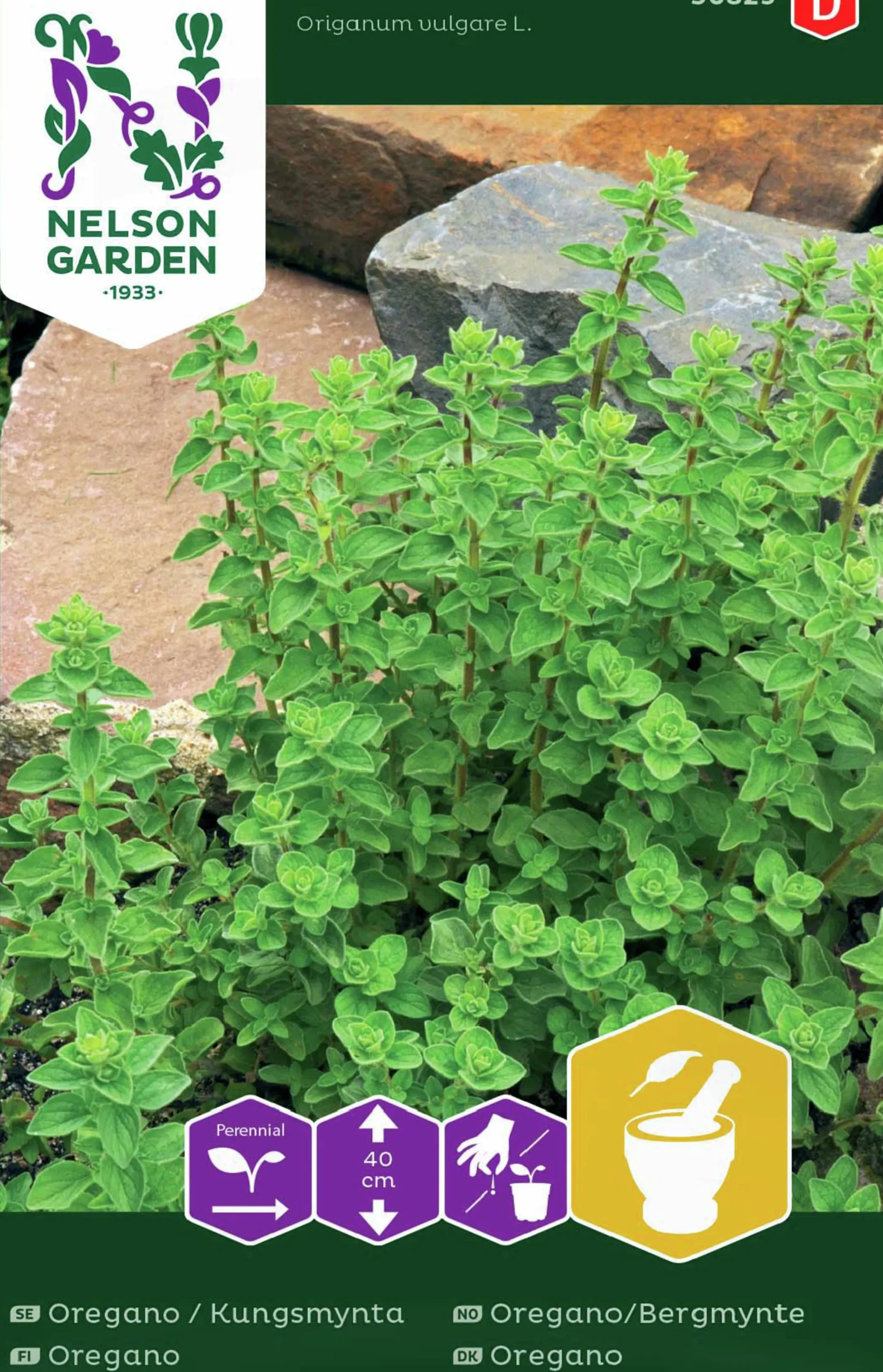 Fröer Oregano Kungsmynta>Nelson Garden Online