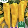 Fröer Paprika Astor F1>Nelson Garden Hot