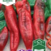 Fröer Paprika Thor F1>Nelson Garden Discount