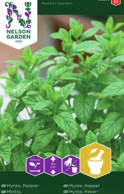 Fröer Pepparmynta>Nelson Garden Online