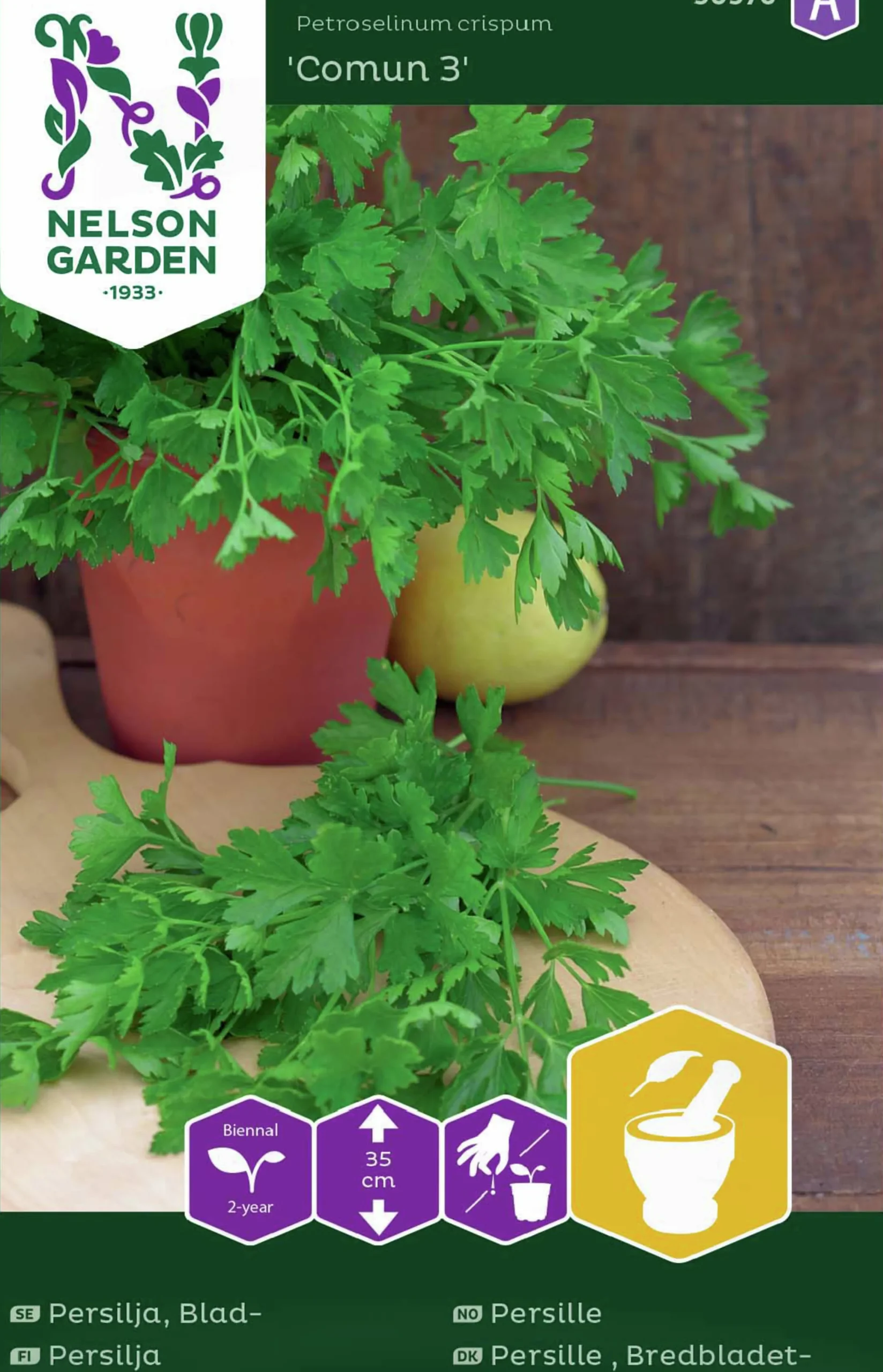 Fröer Persilja Slätbladig Comun 3>Nelson Garden Hot