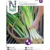 Fröer Piplök Long White Ishiku Såband>Nelson Garden Hot