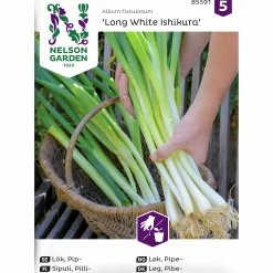 Fröer Piplök Long White Ishiku Såband>Nelson Garden Hot