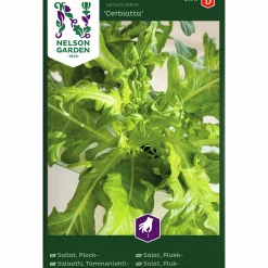 Fröer Plocksallat Cerbiatta>Nelson Garden Online