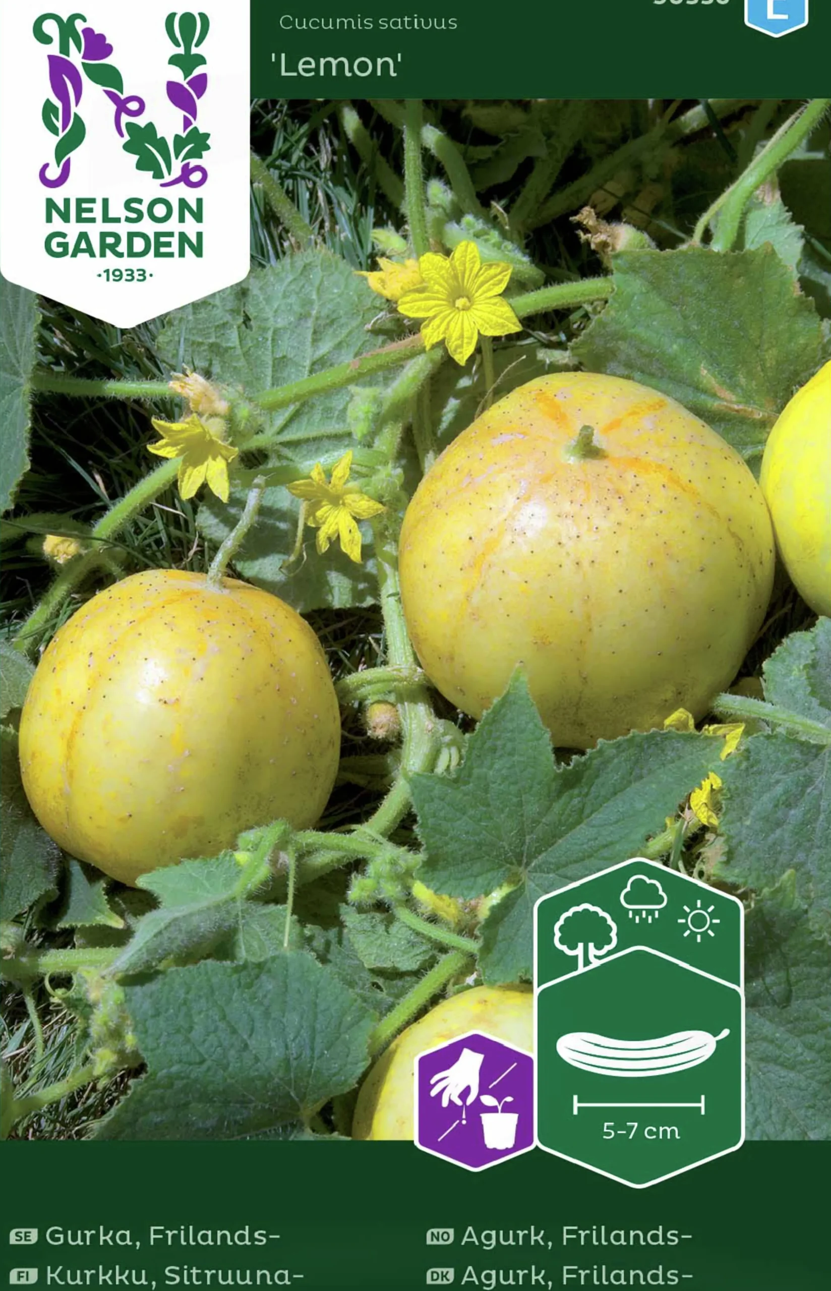 Fröer Äppelgurka Lemon>Nelson Garden Outlet