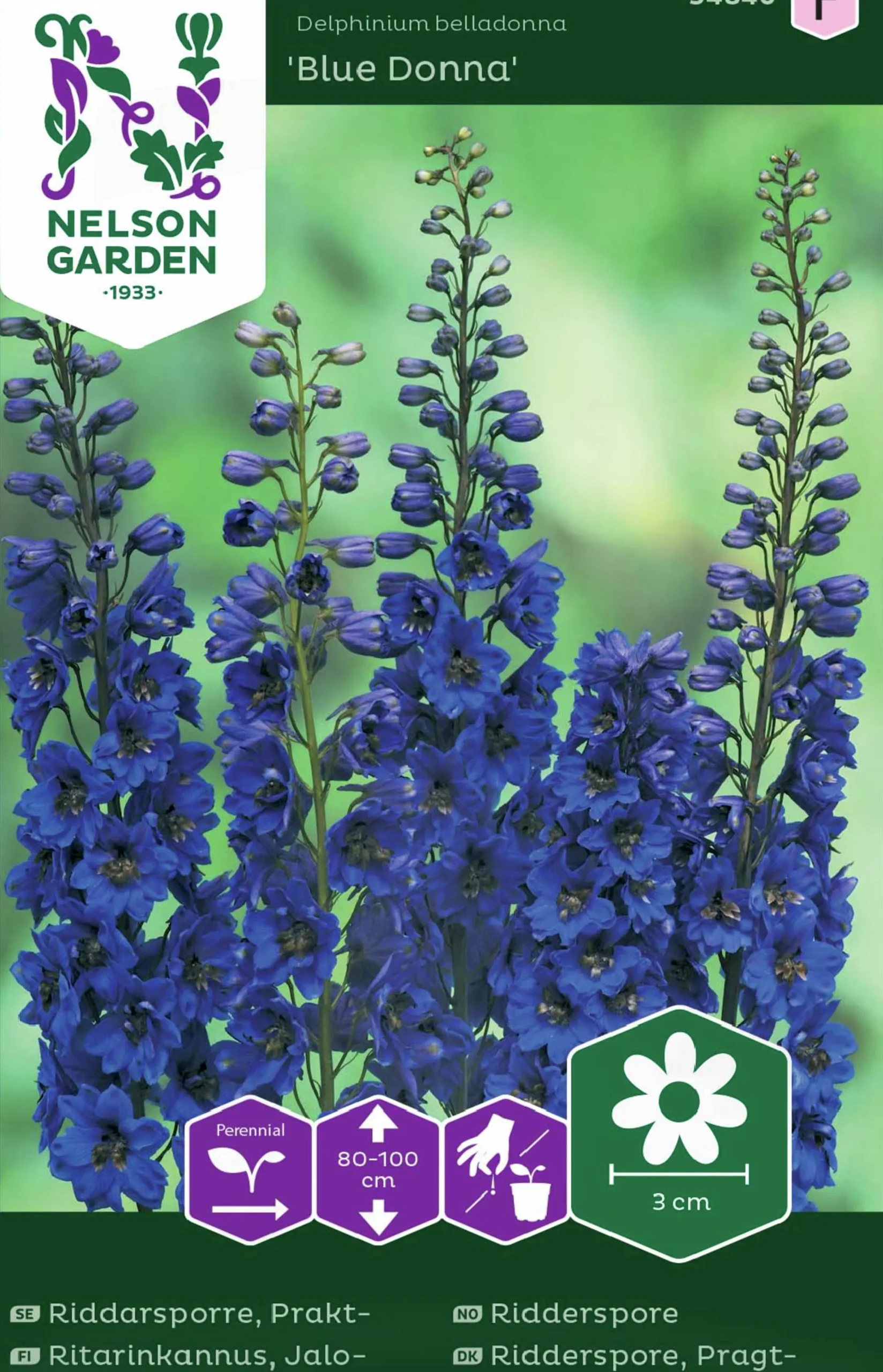 Fröer Praktriddarsporre Blue Donna>Nelson Garden Discount
