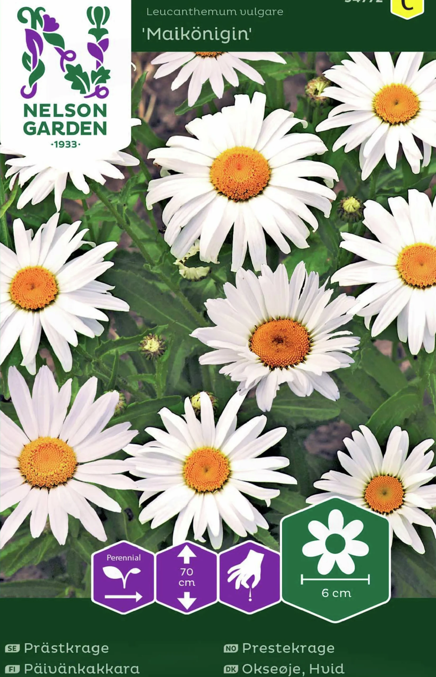 Fröer Prästkrage Maikönigin Vit>Nelson Garden Clearance