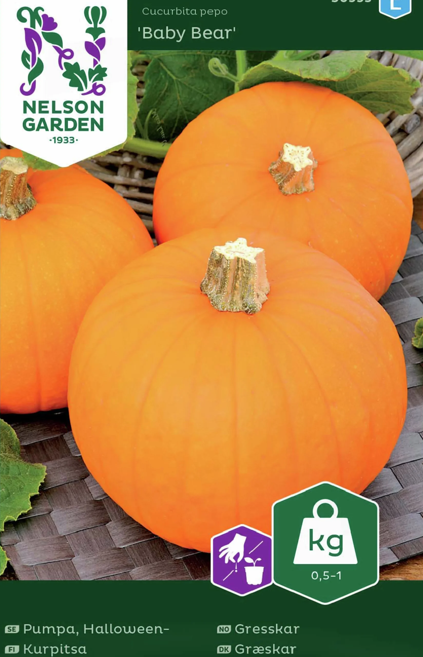 Fröer Pumpa Baby Bear Mini>Nelson Garden Online