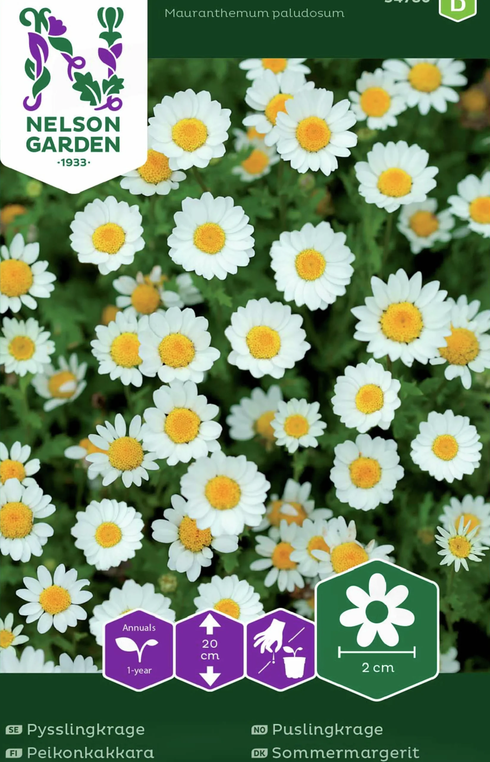 Fröer Pysslingkrage Vit>Nelson Garden Hot