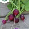 Fröer Rädisa Amethyst>Nelson Garden