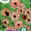 Fröer Ringblomma Bronzed Beauty>Nelson Garden Online