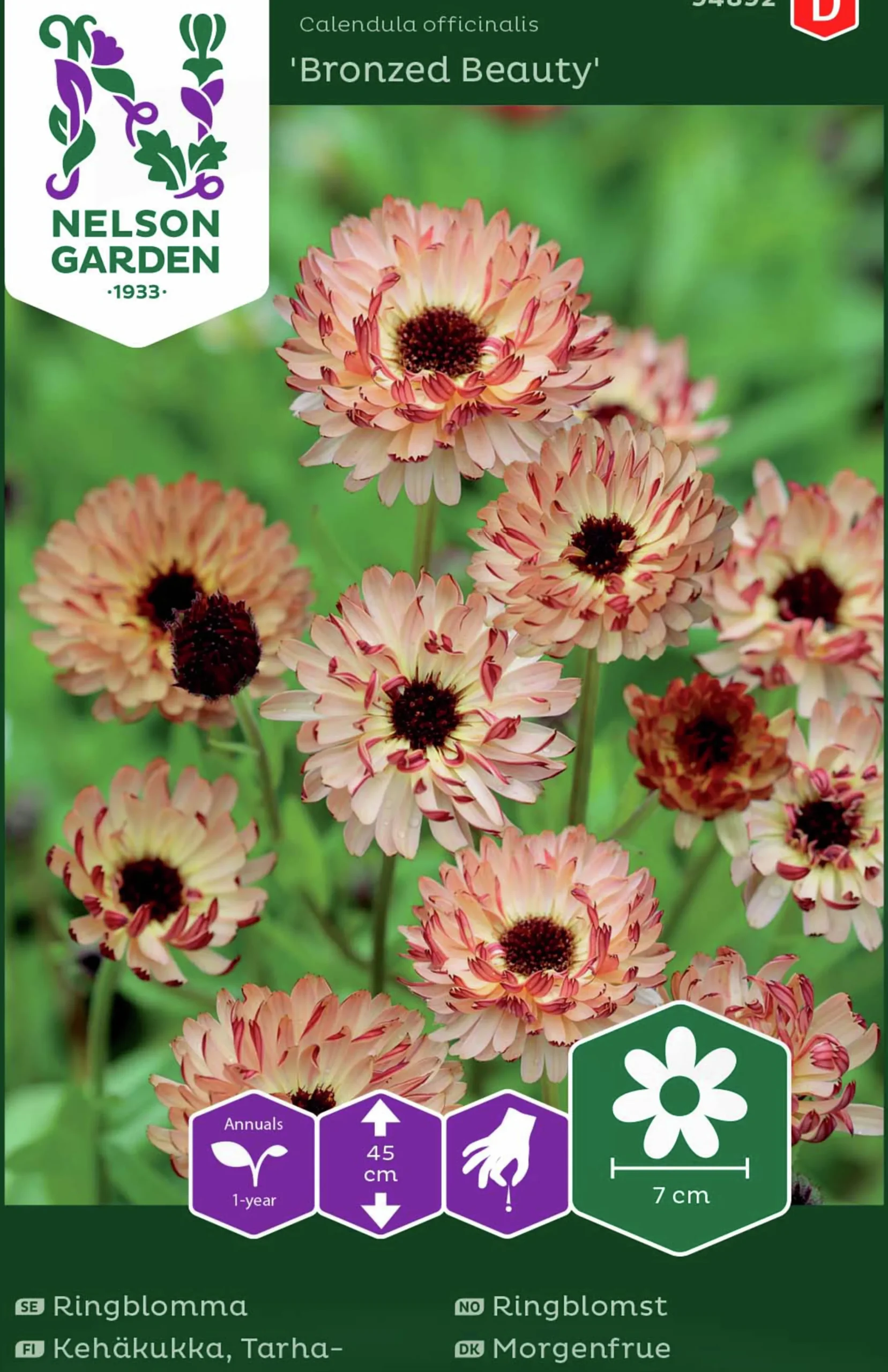 Fröer Ringblomma Bronzed Beauty>Nelson Garden Online