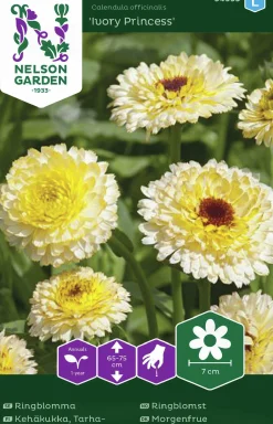 Fröer Ringblomma Ivory Princess>Nelson Garden Outlet