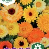 Fröer Ringblomma Blandade Färger Big Pack>Nelson Garden Clearance