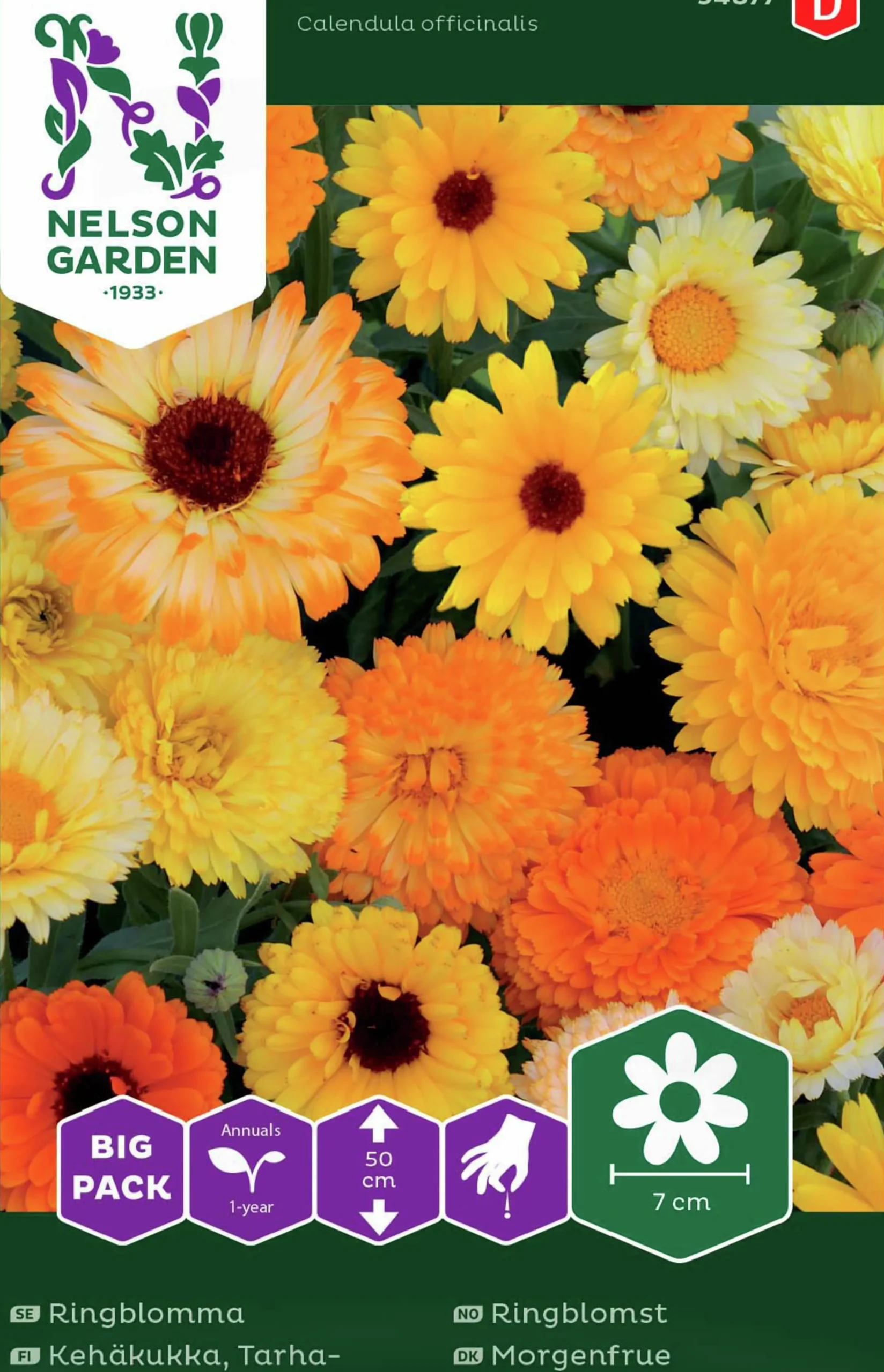 Fröer Ringblomma Blandade Färger Big Pack>Nelson Garden Clearance