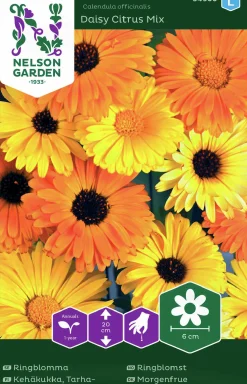 Fröer Ringblomma Daisy Citrus Mix Låg>Nelson Garden Outlet