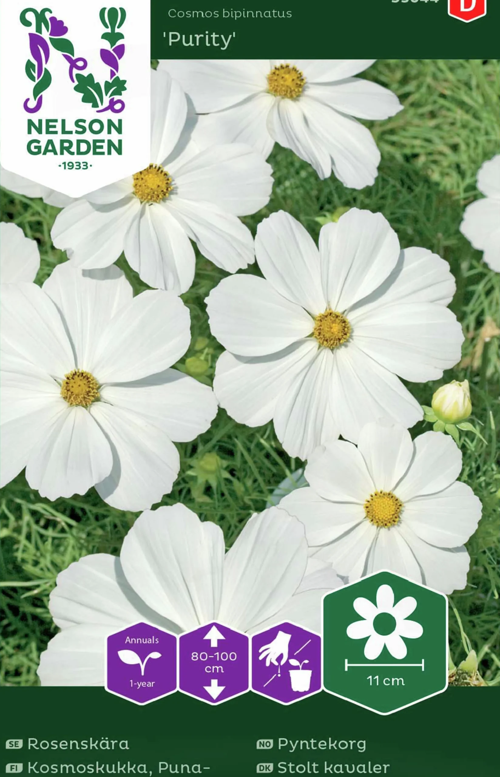 Fröer Rosenskära Purity Vit>Nelson Garden
