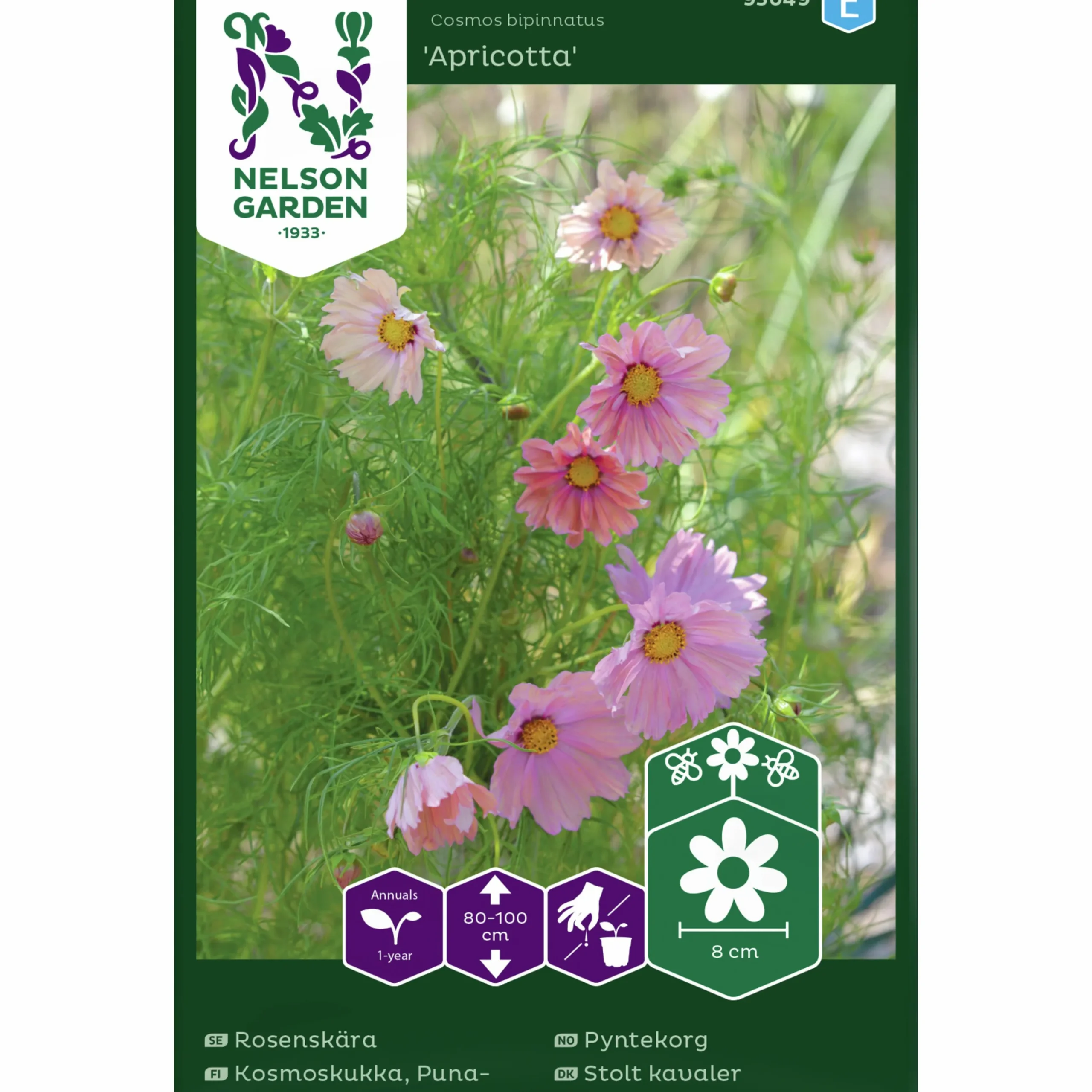 Fröer Rosenskära Apricotta>Nelson Garden Sale